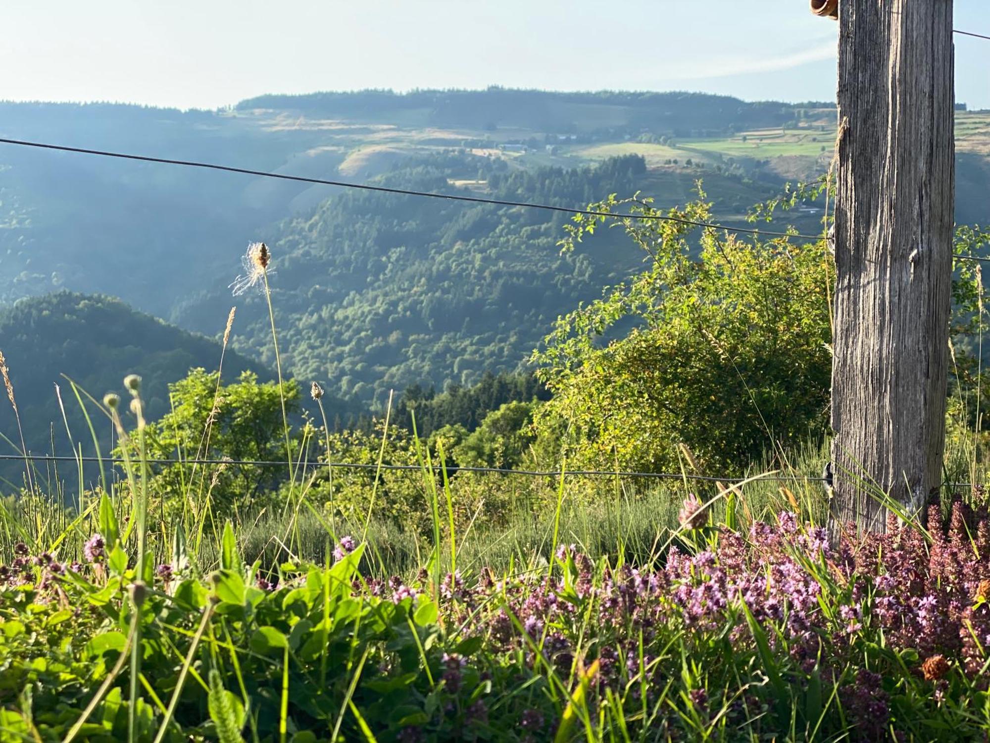 Tiny House De Tempoyrac Villa La Rochette  ภายนอก รูปภาพ
