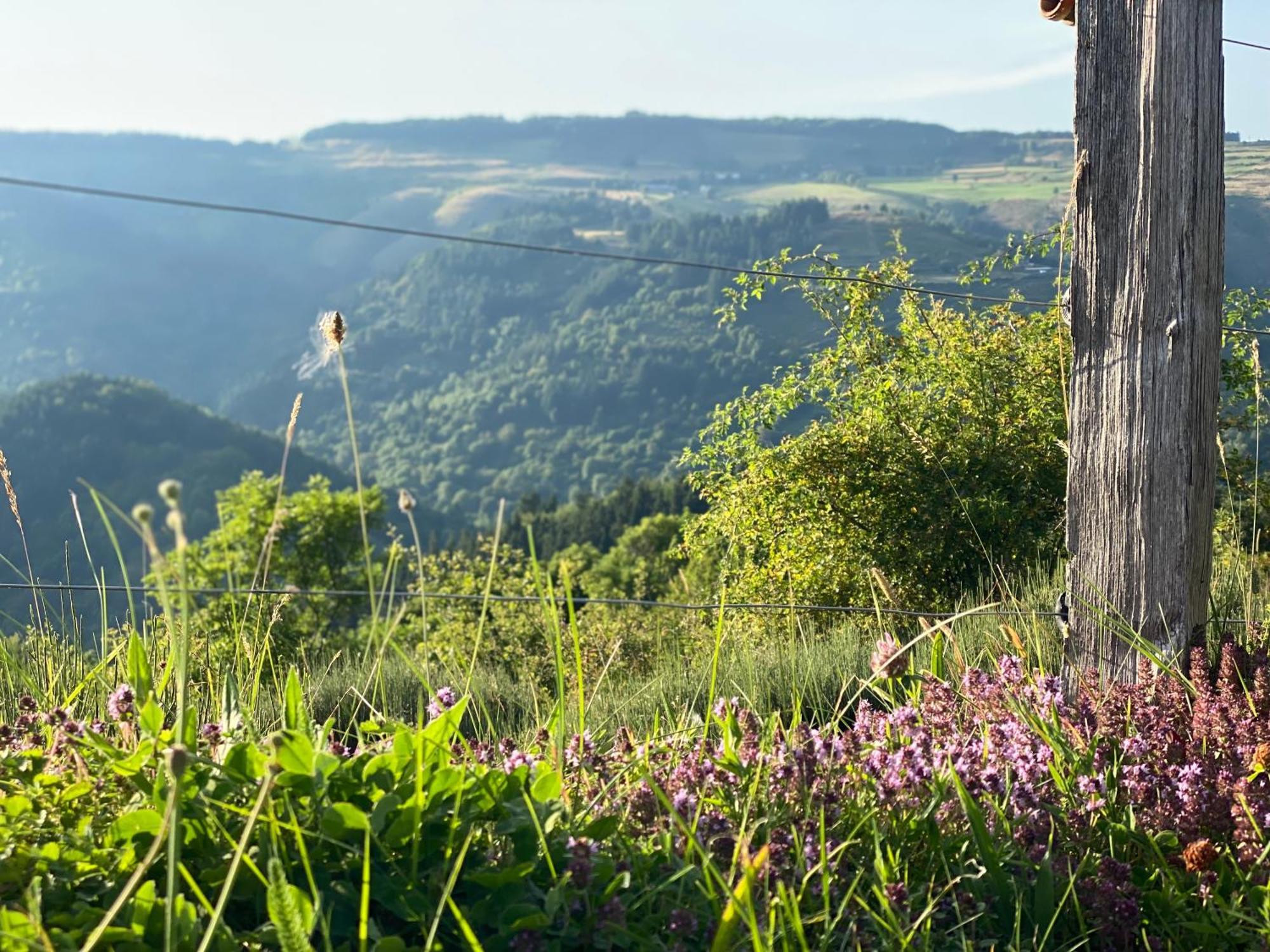 Tiny House De Tempoyrac Villa La Rochette  ภายนอก รูปภาพ